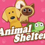 Animal Shelter img