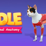 IDLE Animal Anatomy img