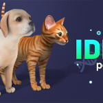 IDLE Pet img