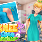 Knee Case Simulator img