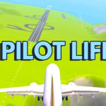 Pilot Life - Flight Game 3D img