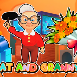 Cat and Granny img